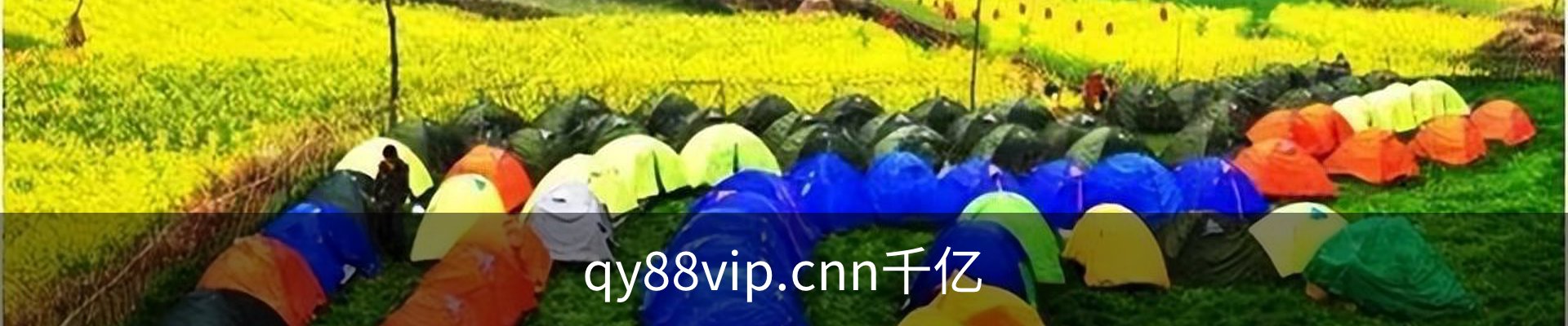qy88vip.cnn千亿